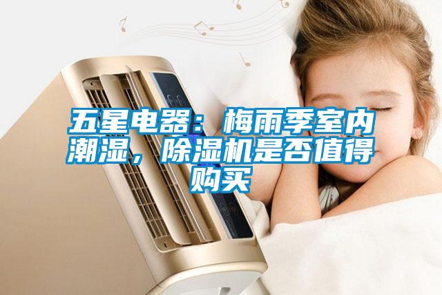 五星电器：梅雨季室内潮湿，草莓视频APP在线观看是否值得购买