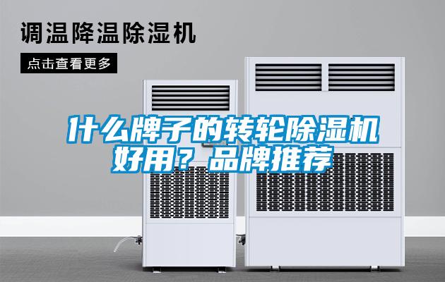 什么牌子的转轮草莓视频APP在线观看好用？品牌推荐