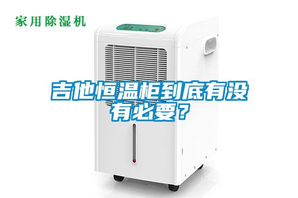 吉他恒温柜到底有没有必要？