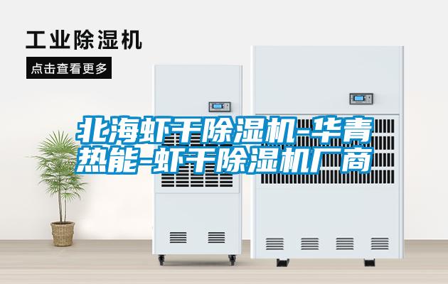 北海虾干草莓视频APP在线观看-华青热能-虾干草莓视频APP在线观看厂商