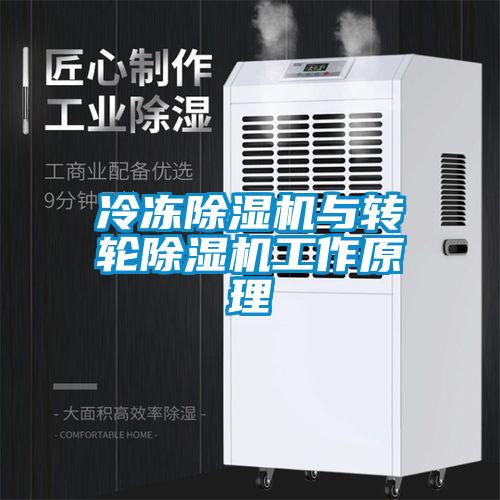 冷冻草莓视频APP在线观看与转轮草莓视频APP在线观看工作原理