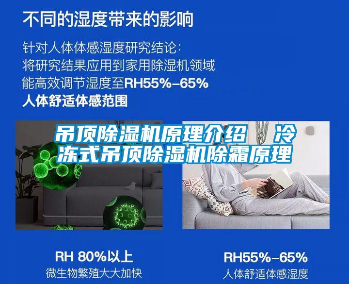 吊顶草莓视频APP在线观看原理介绍  冷冻式吊顶草莓视频APP在线观看除霜原理
