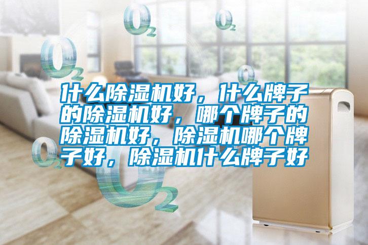 什么草莓视频APP在线观看好，什么牌子的草莓视频APP在线观看好，哪个牌子的草莓视频APP在线观看好，草莓视频APP在线观看哪个牌子好，草莓视频APP在线观看什么牌子好