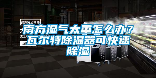 南方湿气太重怎么办？瓦尔特除湿器可快速除湿