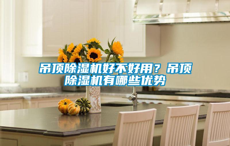 吊顶草莓视频APP在线观看好不好用？吊顶草莓视频APP在线观看有哪些优势