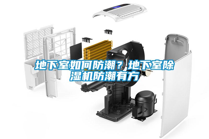 地下室如何防潮？地下室草莓视频APP在线观看防潮有方