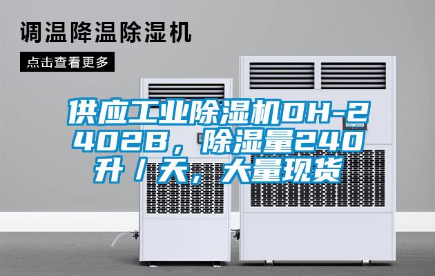 供应工业草莓视频APP在线观看DH-2402B，除湿量240升／天，大量现货