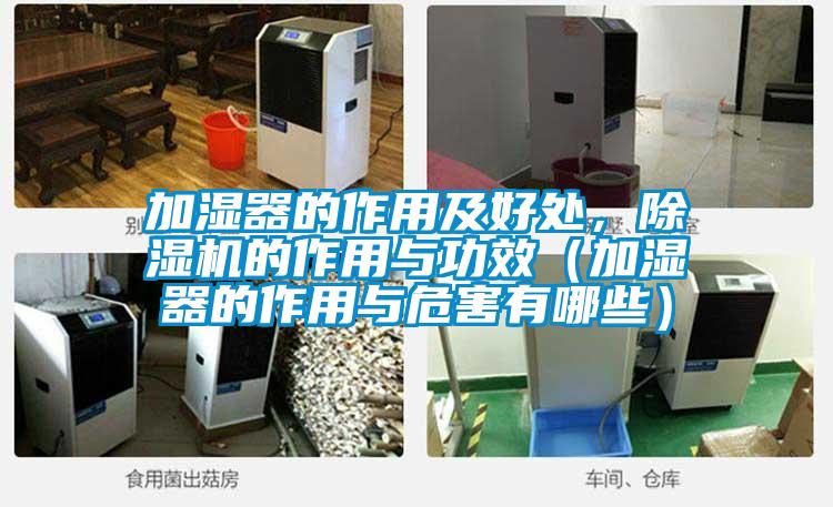 加湿器的作用及好处，草莓视频APP在线观看的作用与功效（加湿器的作用与危害有哪些）