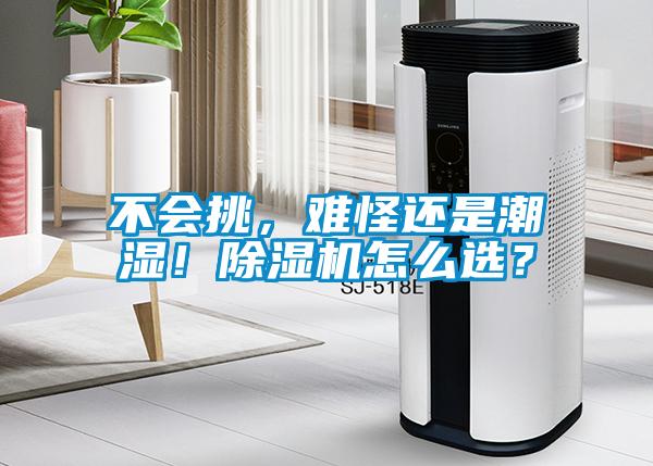 不会挑，难怪还是潮湿！草莓视频APP在线观看怎么选？