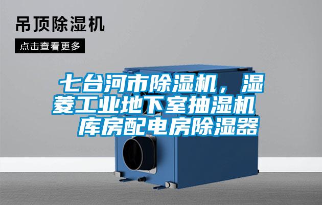 七台河市草莓视频APP在线观看，湿菱工业地下室抽湿机  库房配电房除湿器