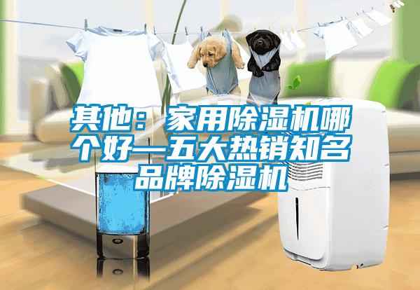 其他：家用草莓视频APP在线观看哪个好—五大热销知名品牌草莓视频APP在线观看