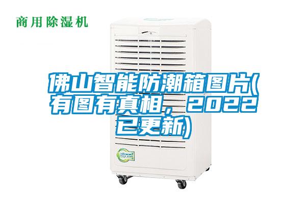 佛山智能防潮箱图片(有图有真相，2022已更新)