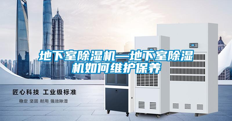 地下室草莓视频APP在线观看—地下室草莓视频APP在线观看如何维护保养