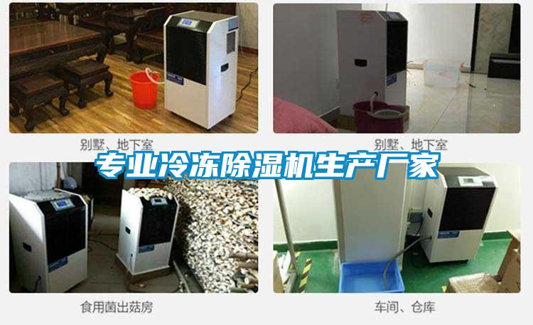 专业冷冻草莓视频APP在线观看生产厂家