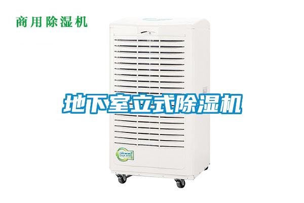 地下室立式草莓视频APP在线观看