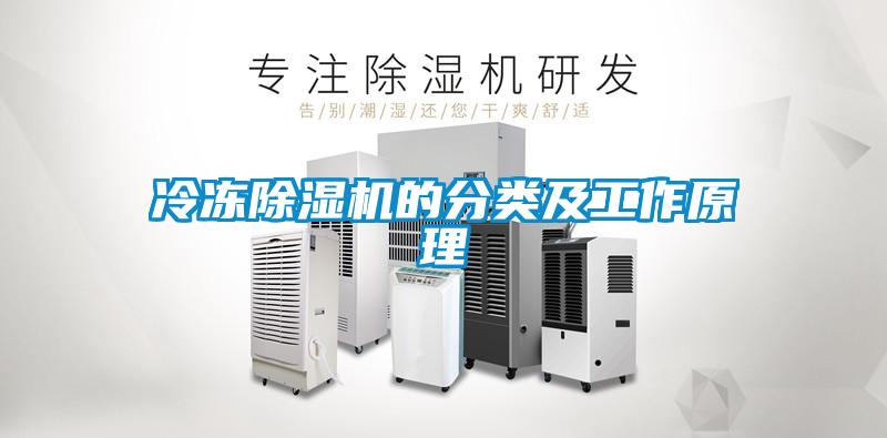 冷冻草莓视频APP在线观看的分类及工作原理