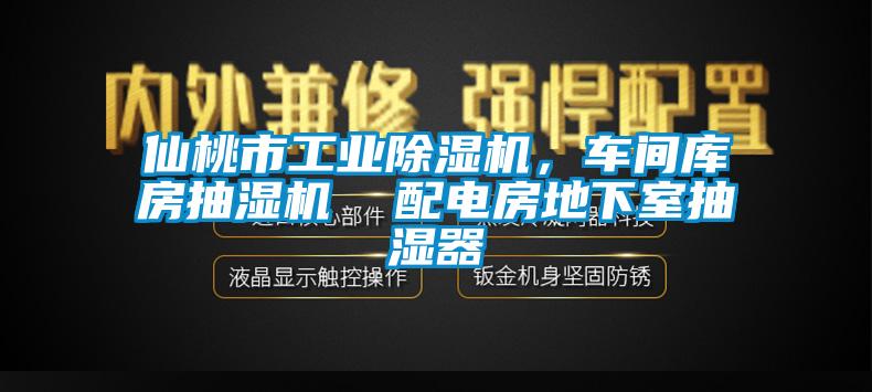 仙桃市工业草莓视频APP在线观看，车间库房抽湿机  配电房地下室抽湿器