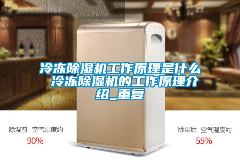 冷冻草莓视频APP在线观看工作原理是什么 冷冻草莓视频APP在线观看的工作原理介绍_重复