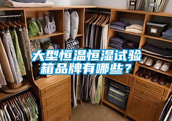 大型恒温恒湿试验箱品牌有哪些？