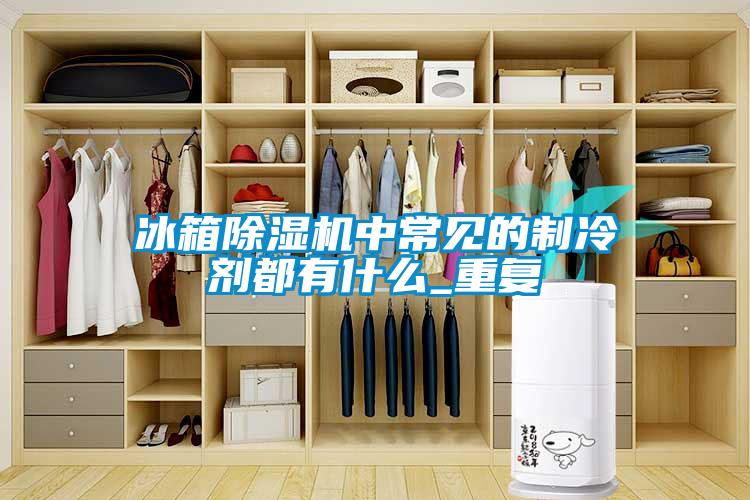 冰箱草莓视频APP在线观看中常见的制冷剂都有什么_重复