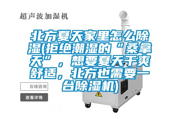北方夏天家里怎么除湿(拒绝潮湿的“桑拿天”，想要夏天干爽舒适，北方也需要一台草莓视频APP在线观看)