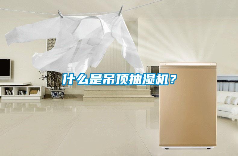 什么是吊顶抽湿机？