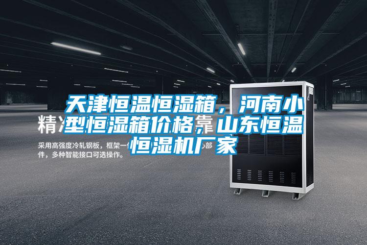 天津恒温恒湿箱，河南小型恒湿箱价格，山东恒温恒湿机厂家