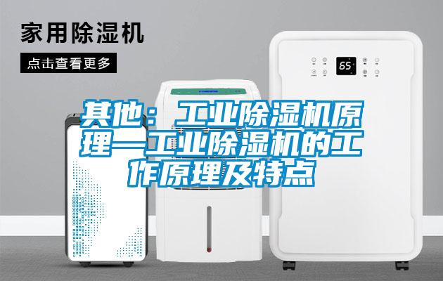 其他：工业草莓视频APP在线观看原理—工业草莓视频APP在线观看的工作原理及特点
