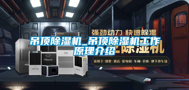 吊顶草莓视频APP在线观看_吊顶草莓视频APP在线观看工作原理介绍