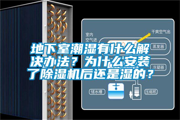 地下室潮湿有什么解决办法？为什么安装了草莓视频APP在线观看后还是湿的？