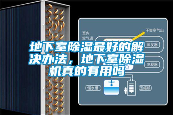 地下室除湿最好的解决办法，地下室草莓视频APP在线观看真的有用吗