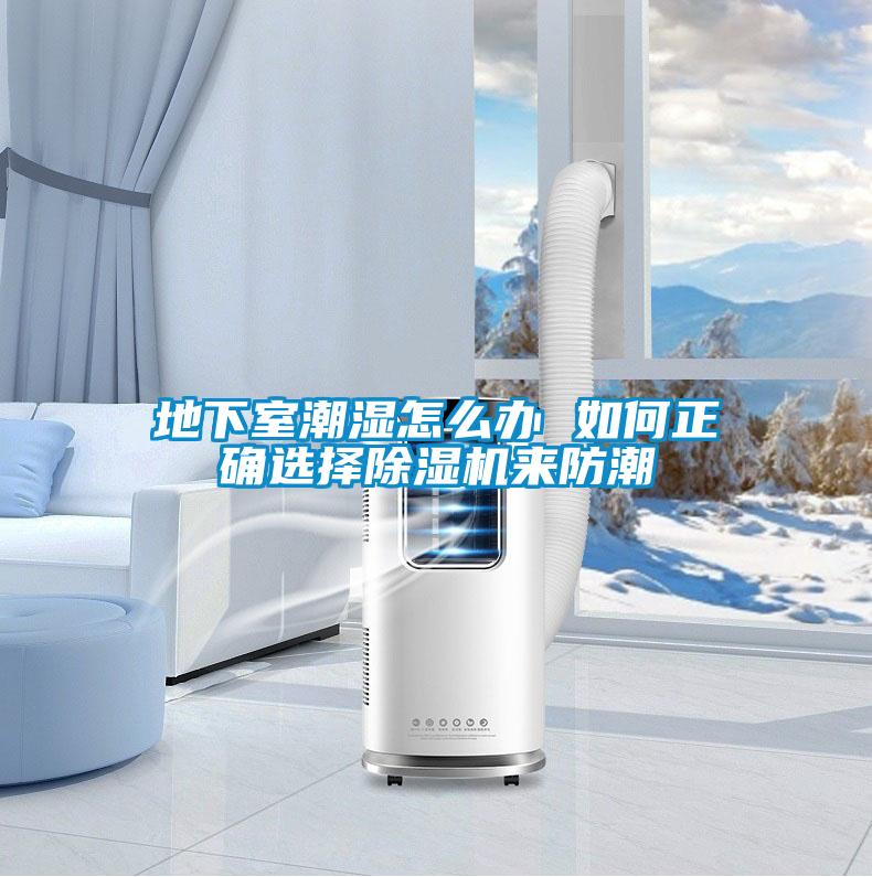 地下室潮湿怎么办 如何正确选择草莓视频APP在线观看来防潮