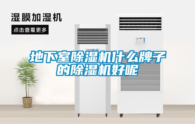 地下室草莓视频APP在线观看什么牌子的草莓视频APP在线观看好呢
