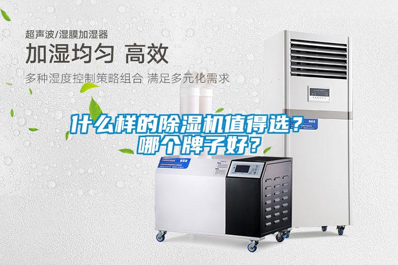 什么样的草莓视频APP在线观看值得选？ 哪个牌子好？