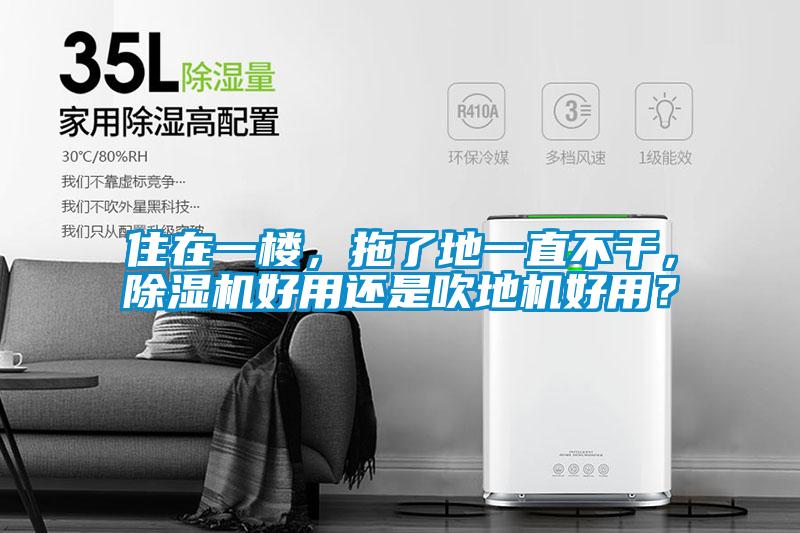 住在一楼，拖了地一直不干，草莓视频APP在线观看好用还是吹地机好用？
