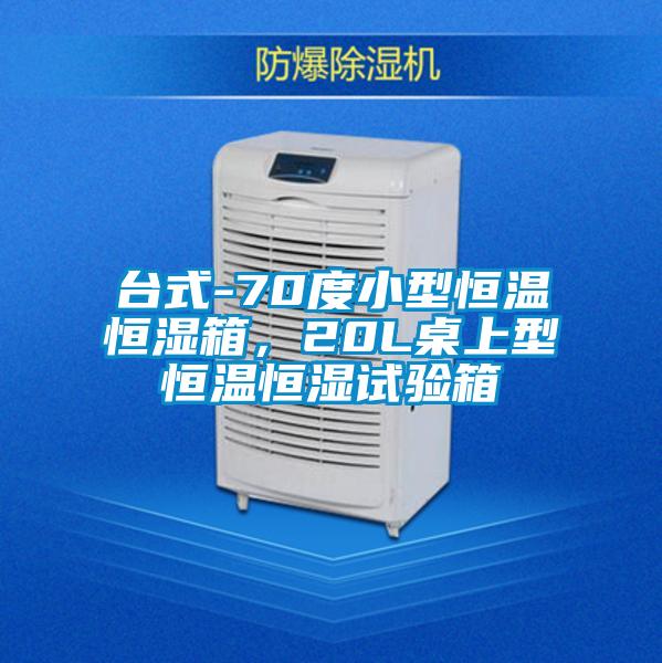 台式-70度小型恒温恒湿箱，20L桌上型恒温恒湿试验箱