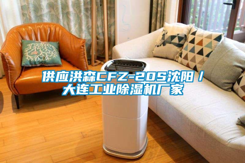 供应洪森CFZ-20S沈阳／大连工业草莓视频APP在线观看厂家