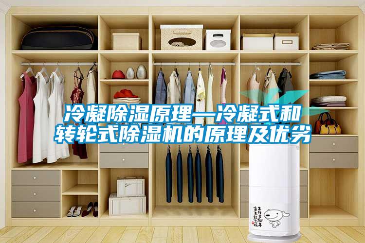 冷凝除湿原理—冷凝式和转轮式草莓视频APP在线观看的原理及优劣