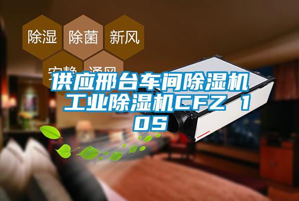供应邢台车间草莓视频APP在线观看 工业草莓视频APP在线观看CFZ 10S