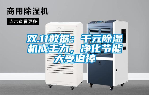双.11数据：千元草莓视频APP在线观看成主力，净化节能大受追捧