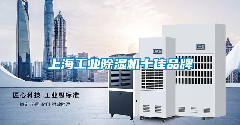 上海工业草莓视频APP在线观看十佳品牌