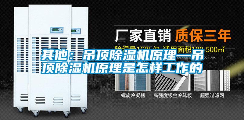 其他：吊顶草莓视频APP在线观看原理—吊顶草莓视频APP在线观看原理是怎样工作的