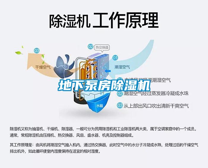 地下泵房草莓视频APP在线观看