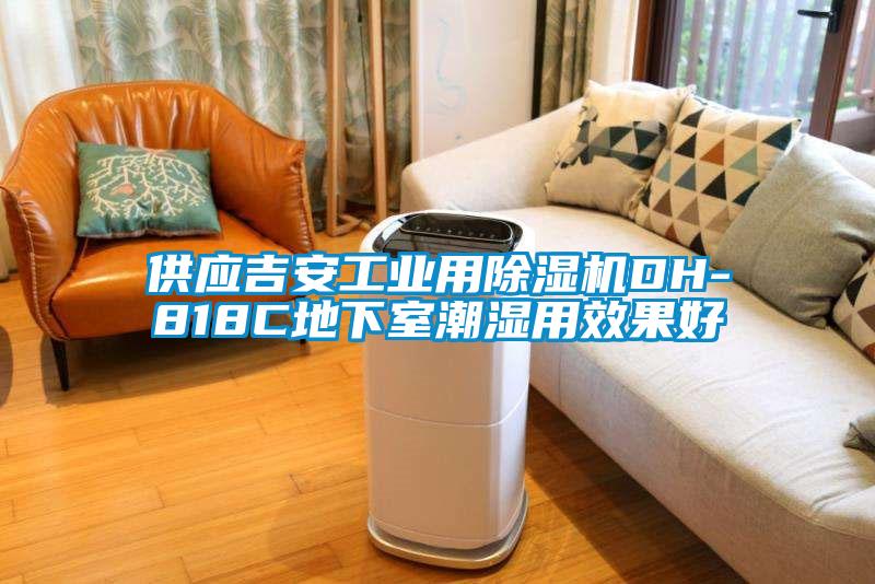 供应吉安工业用草莓视频APP在线观看DH-818C地下室潮湿用效果好