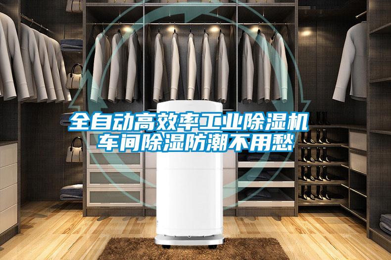 全自动高效率工业草莓视频APP在线观看 车间除湿防潮不用愁