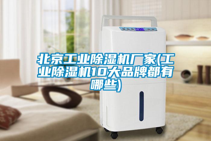 北京工业草莓视频APP在线观看厂家(工业草莓视频APP在线观看10大品牌都有哪些)
