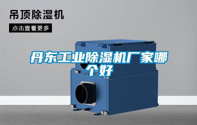 丹东工业草莓视频APP在线观看厂家哪个好