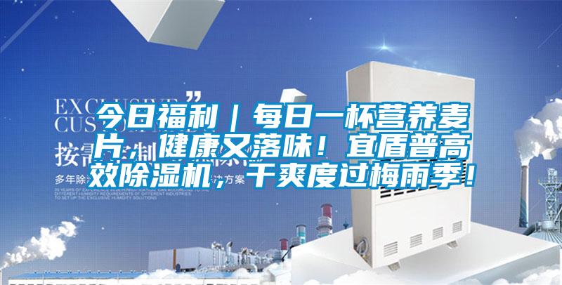 今日福利｜每日一杯营养麦片，健康又落味！宜盾普高效草莓视频APP在线观看，干爽度过梅雨季！