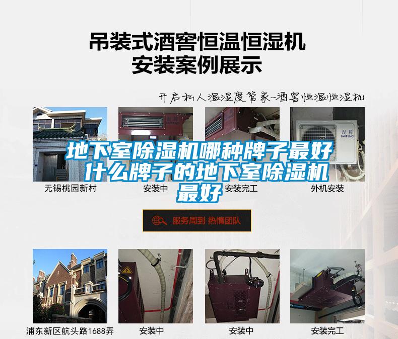 地下室草莓视频APP在线观看哪种牌子最好 什么牌子的地下室草莓视频APP在线观看最好