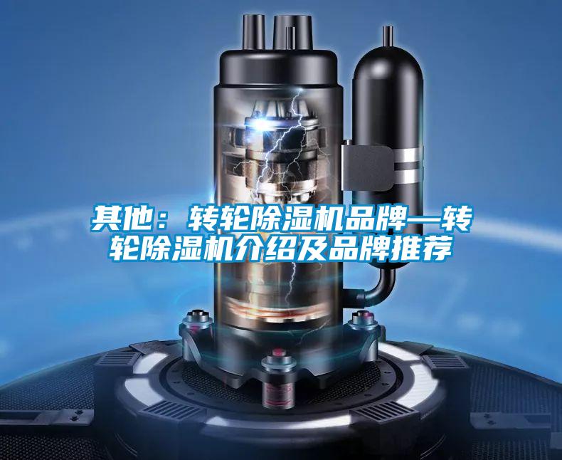 其他：转轮草莓视频APP在线观看品牌—转轮草莓视频APP在线观看介绍及品牌推荐